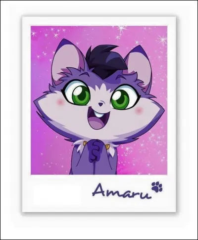 Quel est l'animal de compagnie des trois amies ?