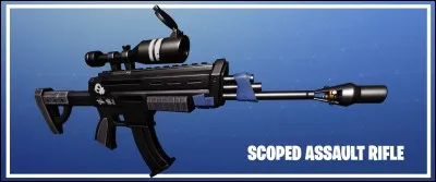 Quel est le nom de cette arme ?