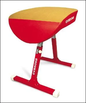 Quel est cet agrs de gymnastique ?