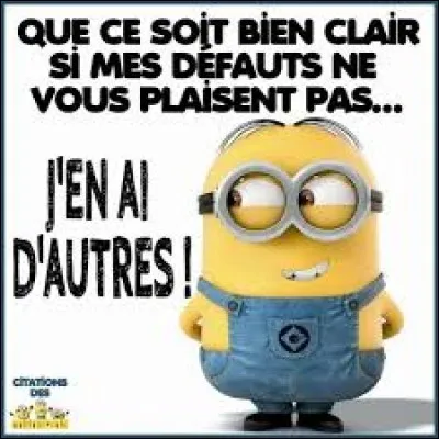 Ton principal défaut est...