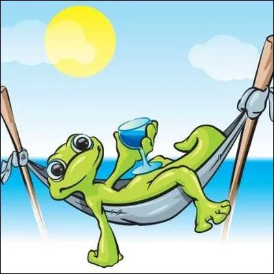 Qu'aimes-tu faire pendant ton temps libre ?