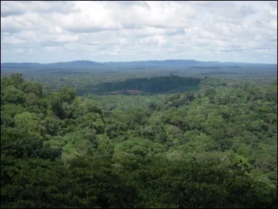 La Guyane française se trouve dans :