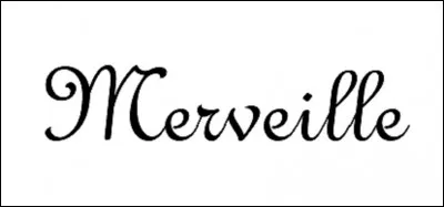 Vous avez parfaitement réussi ce quizz, votre résultat est remarquable.