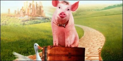 A qui appartient Babe, le cochon devenu berger ?