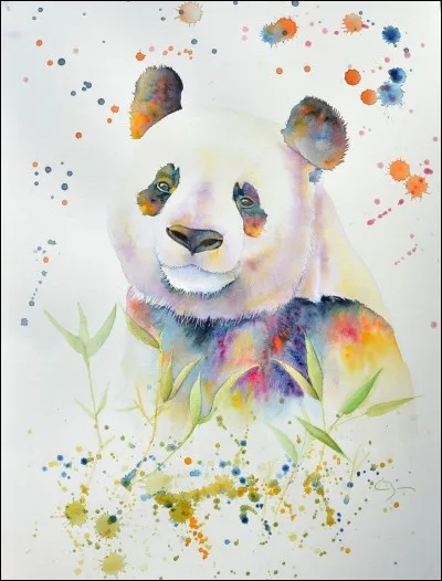Un panda est...