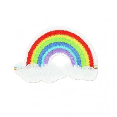 Quel est le nom de ce que l'on voit sur l'image ?