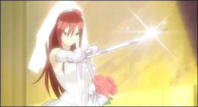 Quelle est cette armure ?