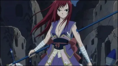 Quelle est cette armure ?