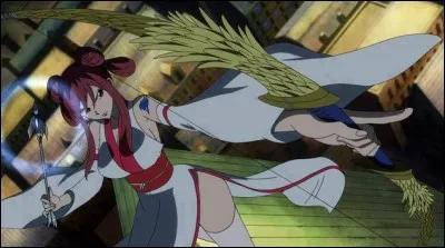 Quelle est cette armure ?