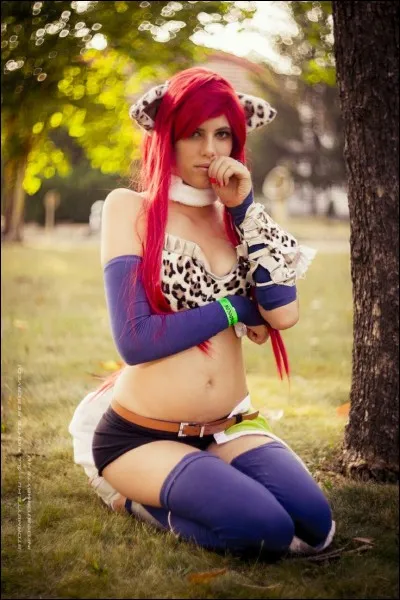 Quelle est cette armure ?