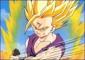 Quel est le niveau atteint par le personnage reprsent sur l'image ?