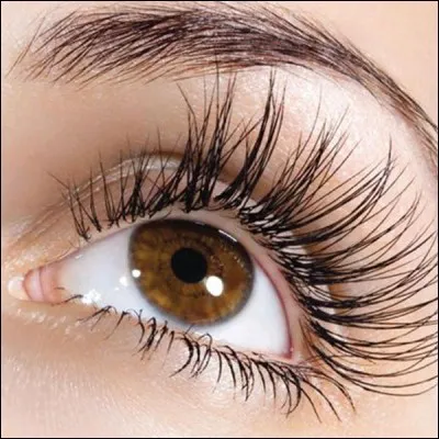 Quelle couleur de yeux aimes-tu ?