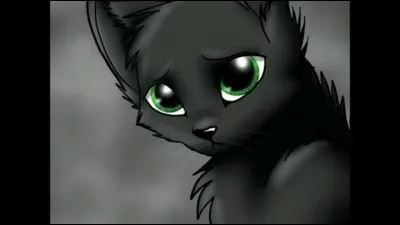 Feuille de Houx est la fille de...