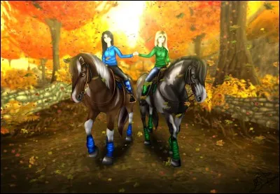 Que n'a pas Star Stable ?