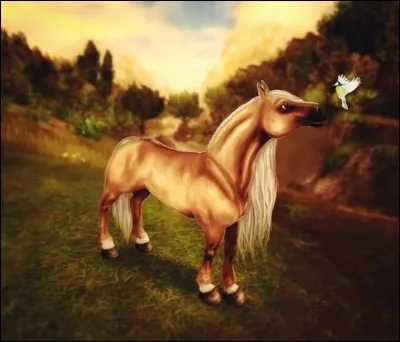 Jusqu'à quel niveau un cheval peut-il aller ?