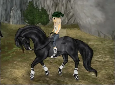 Quelle est la race du cheval de départ ?