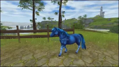 Quelle race de cheval n'existe pas encore sur Star Stable ?