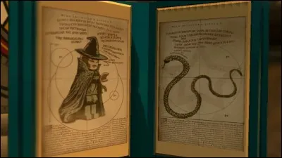 On peut parler le fourchelang.