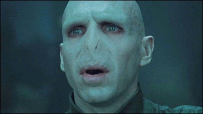 Voldemort est l'ennemi de l'histoire.
