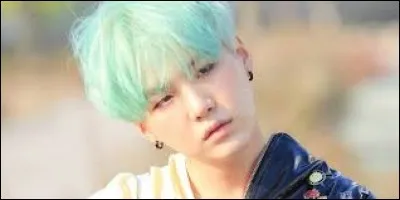 Comment les membres surnomment-ils Suga ?