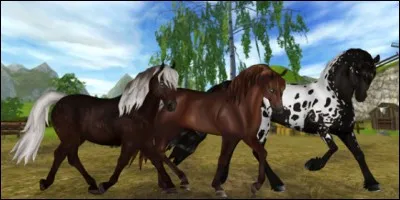 De quelle couleur est le Morgan du Croissant de Lune ?