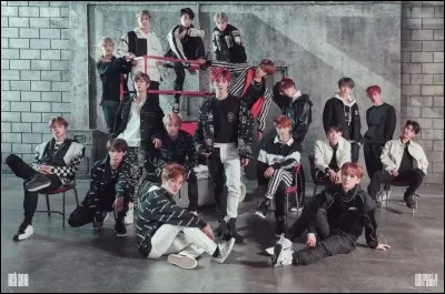 Combien de membres y a-t-il en tout dans NCT (127, U, dream) ?