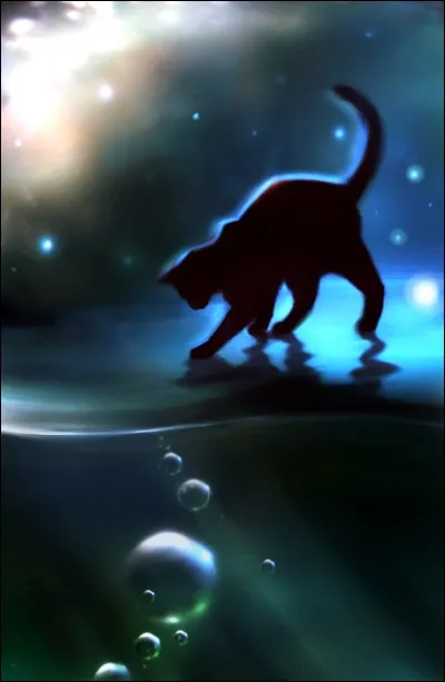 Que penses-tu des chats ?