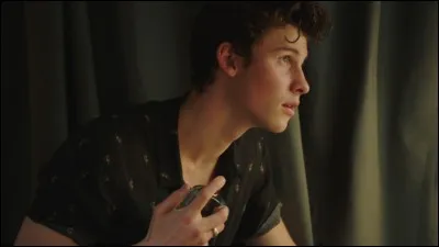 Que déteste Shawn ?