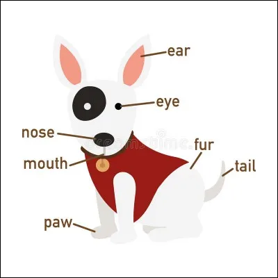 Au niveau corps, comment es-tu ?