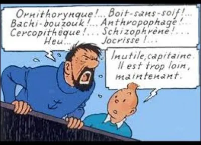Laquelle de ces insultes ne fait pas partie du répertoire du Capitaine Haddock ?