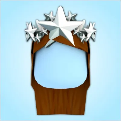 Y a-t-il un profil dans le jeu « Roblox » ?