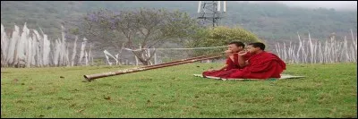 Ce royaume se situe dans l'Himalaya.