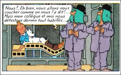 De quel album est extraite cette image ?