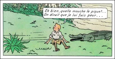 De quel album est extraite cette image ?