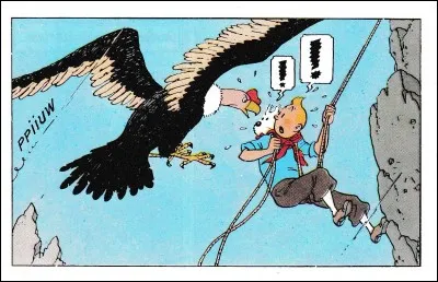 De quel album est extraite cette image ?