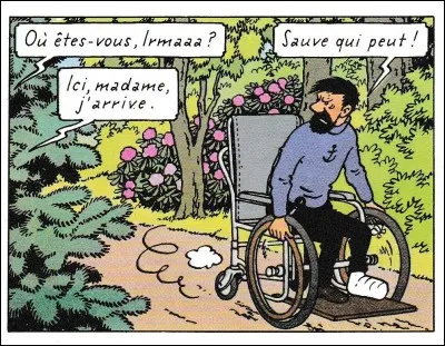 De quel album est extraite cette image ?