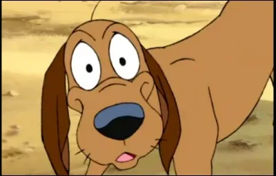 Comment s'appelle cet animal ?