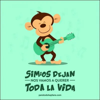 Quel est l'infinitif du verbe conjugué "quieren" ?