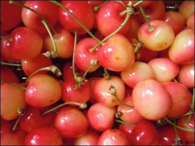 Quel est ce fruit à noyau ?