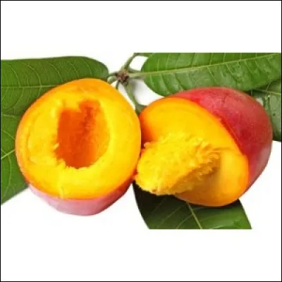 Quel est ce fruit à noyau ?