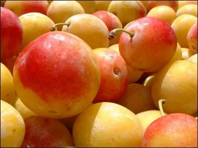 Quel est ce fruit à noyau ?