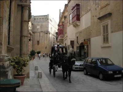 Quel est le surnom de la cit fortifie de Mdina ?