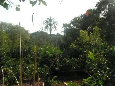 Comment s'appelle la seule fort de Malte (cre artificiellement) ?