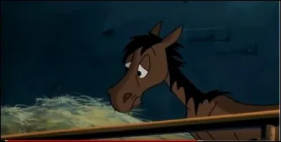 Comment s'appelle cet animal et d'où vient-il ?