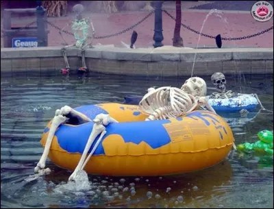 Gardez votre équilibre, restez en selle et à bon entendeur salut !