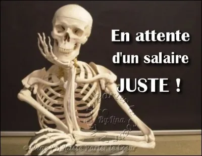 Jamais je ne vous demanderai de trouver la réponse au pif !