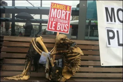 L'une des sept collines de Rome devrait vous faire penser à un os !