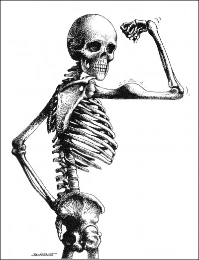 La réponse est simple, c'est comme dans un cirque !