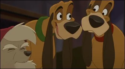 Comment s'appellent ces jumeaux présents dans "Rox et Rouky 2" ?