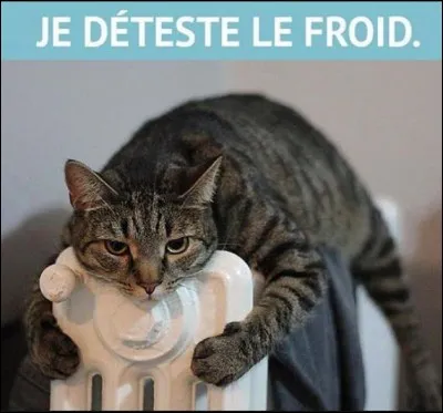 1847-1922. Ingénieur français, il est l'inventeur du radiateur. Comment s'appelle ce scientifique d'origine normande ?